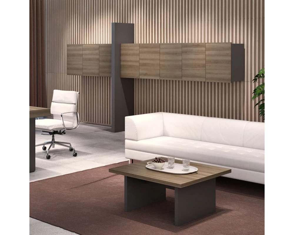 Кабинет руководителя Era