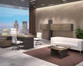 Кабинет руководителя Era images