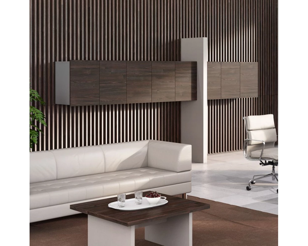 Кабинет руководителя Era