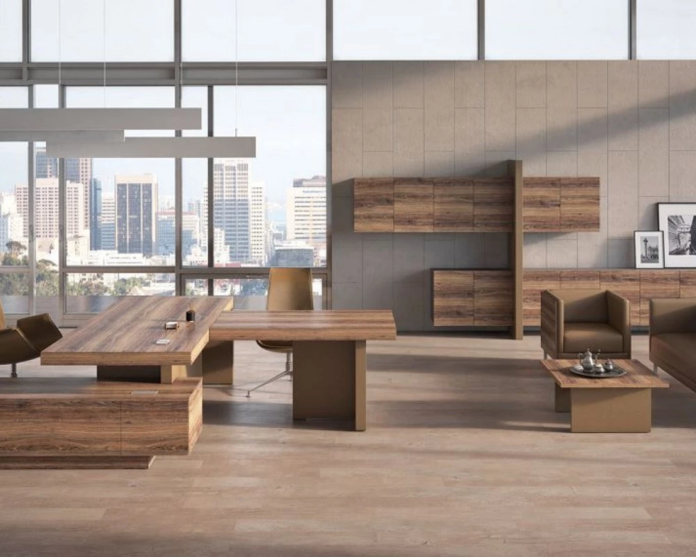 Кабинет руководителя Era