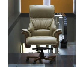 Кресло руководителя Пикассо DL-055 images