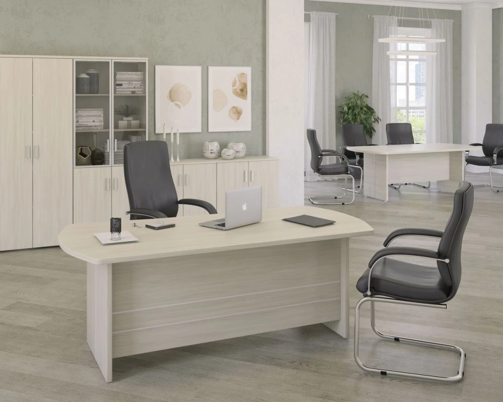 Кабинет руководителя Бонн / Bonn