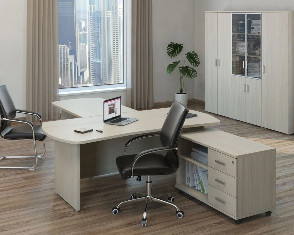 Кабинет руководителя Бонн / Bonn