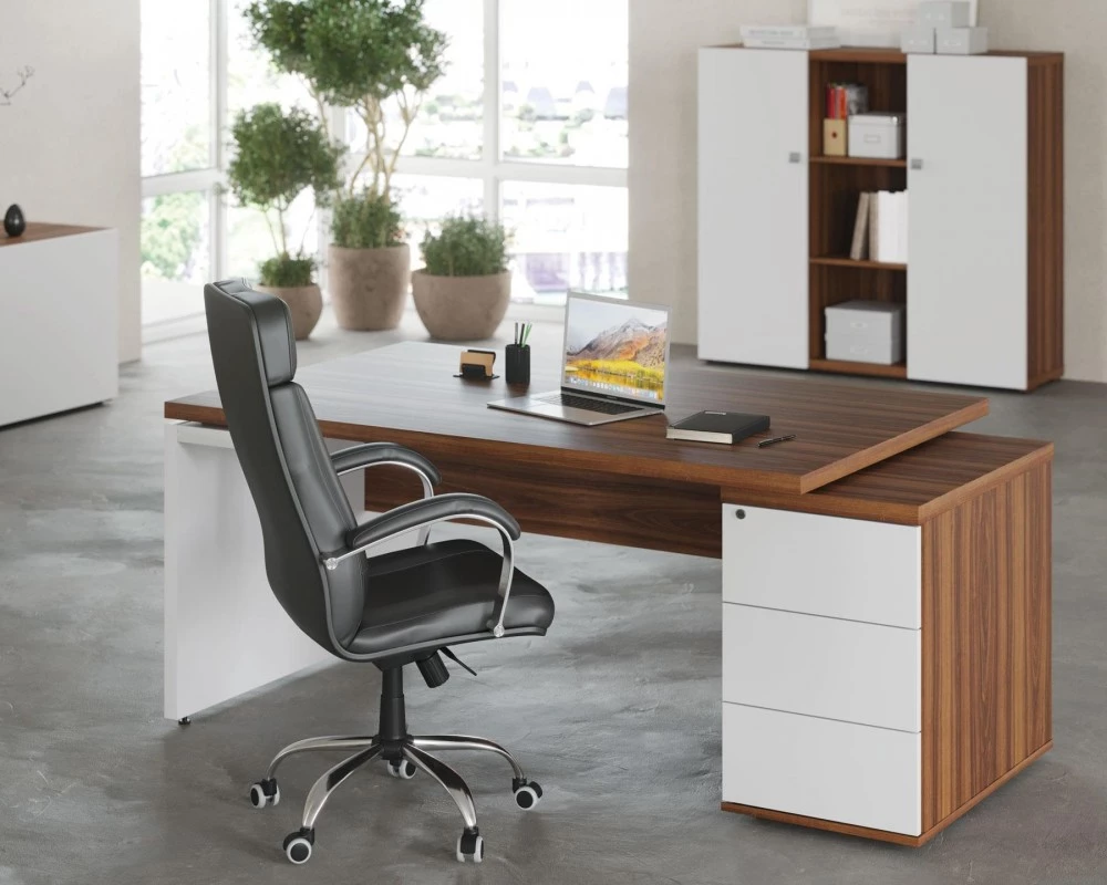 Кабинет руководителя Zion