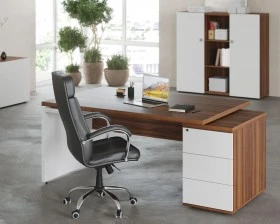 Кабинет руководителя Zion images