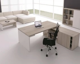 Кабинет руководителя Zion images