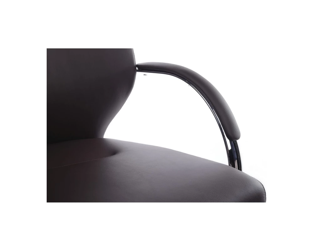 Кресло RV DESIGN Alonzo-CF (С1711)