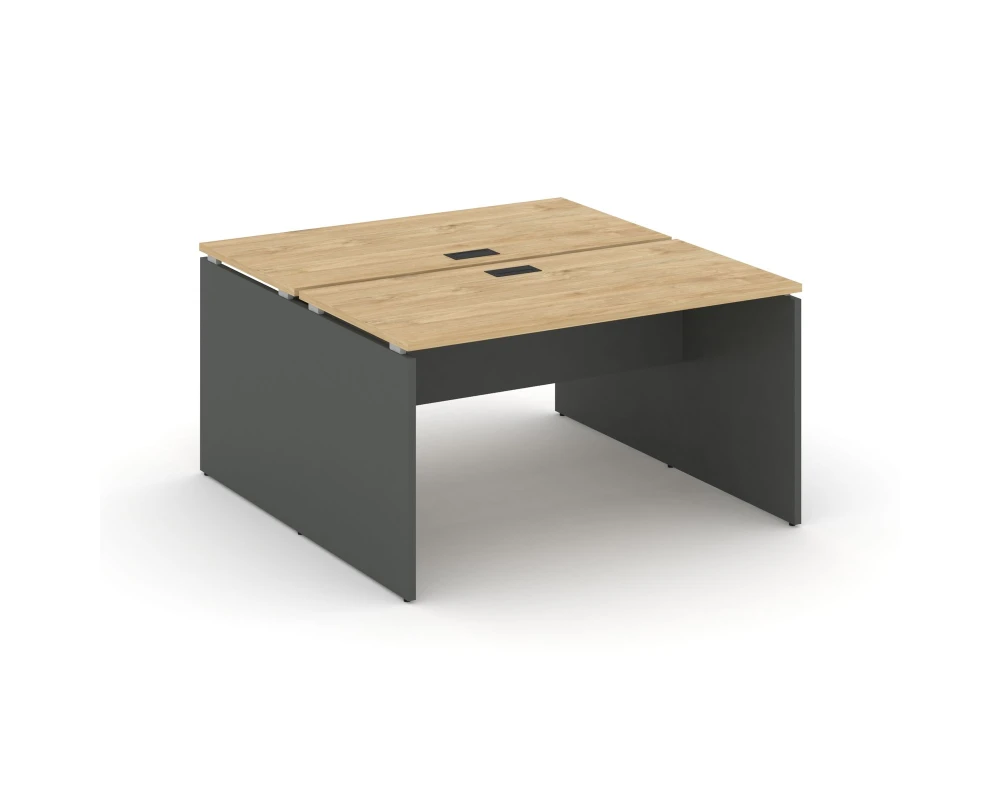 Рабочая станция 2-х сторон. 1180x1432x750 Стайл Проджект / Style Project