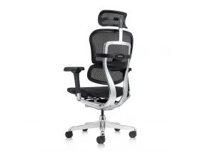 Кресло руководителя Ergohuman Elite 2 HAM Сетка, Черный images