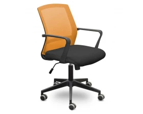 Кресло Кембридж СН-502 пластик images