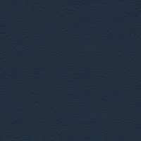 P2 EUROLINE 980 (серо-синий)